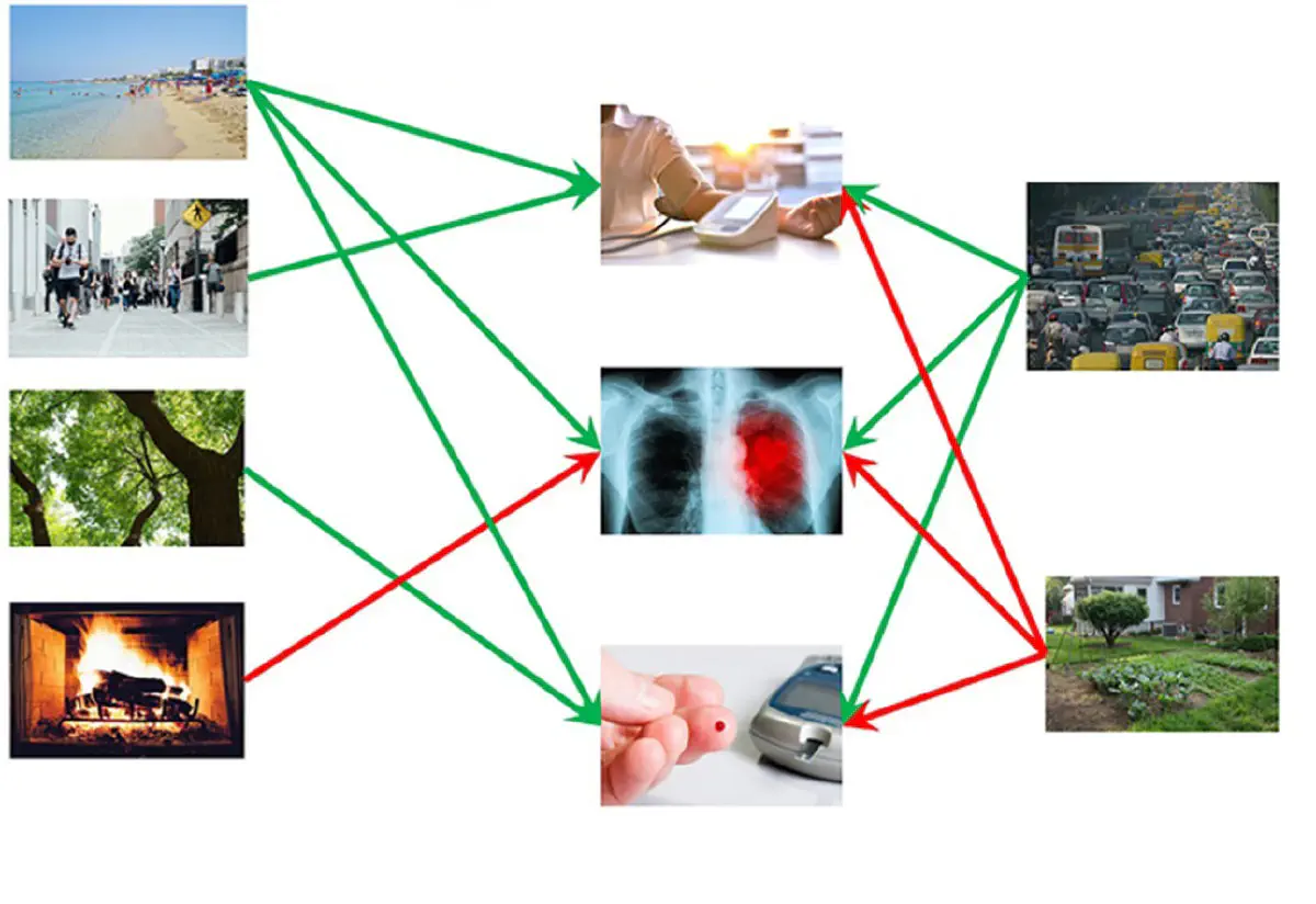 Urban environment and cardiometabolic diseases