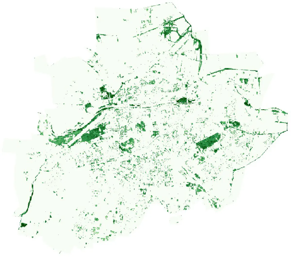 Tree Cover Density